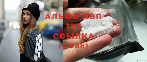 mdpv Вяземский