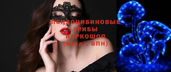 соль ск Вязьма