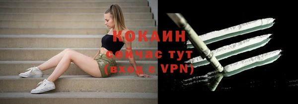 mdpv Вяземский