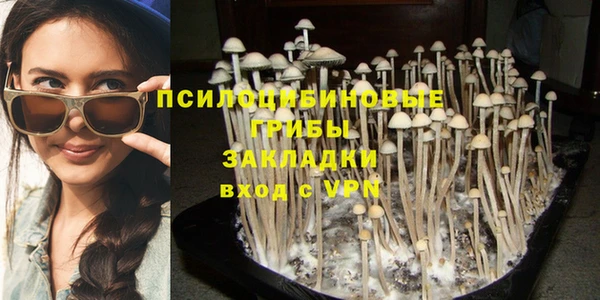 соль ск Вязьма