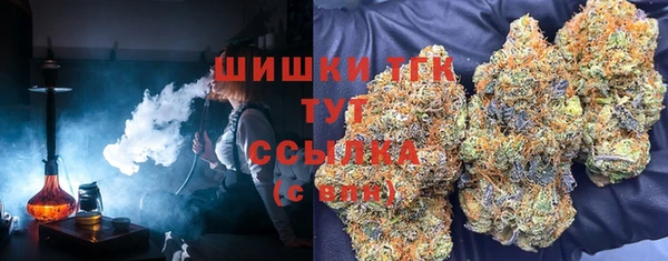 mdpv Вяземский
