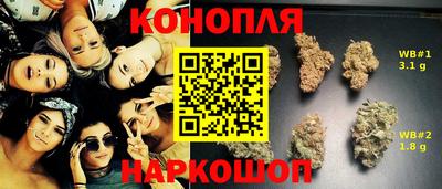 молекула духа Коммунар